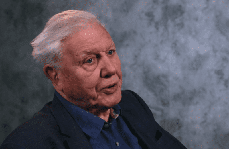 British Library - David Attenborough