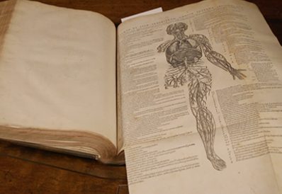 William Harvey - Royal College of Physicians